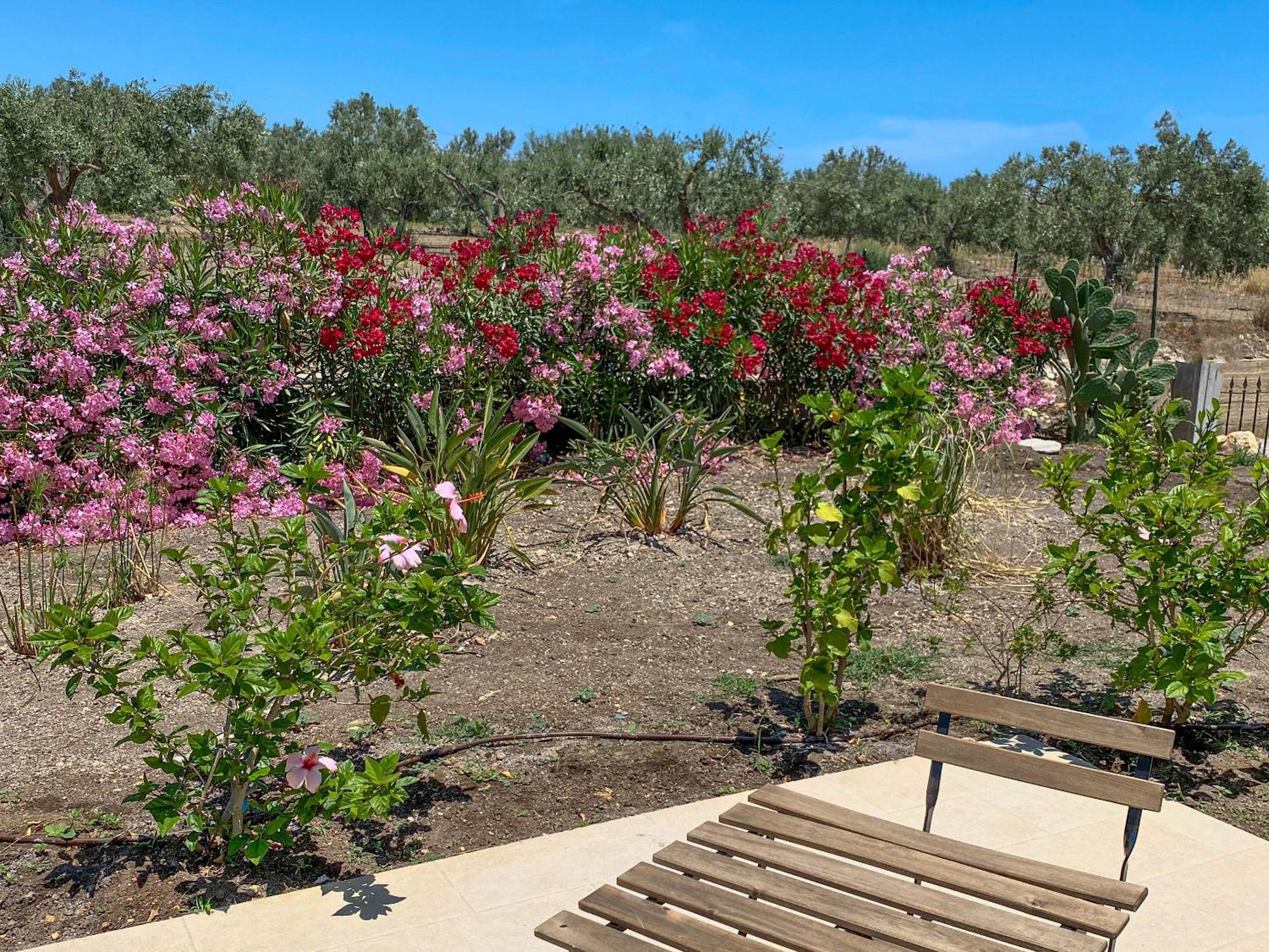 Dimora Calauriia - Adults Only Bed and breakfast Noto